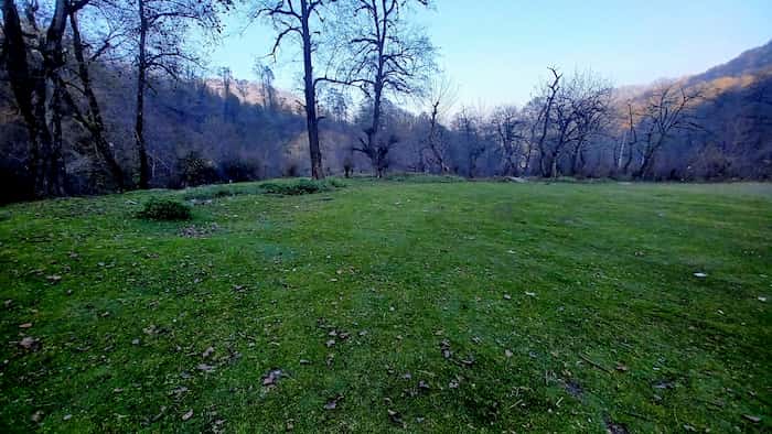 پارک جنگل ایزدشهر اطراف بابلسر